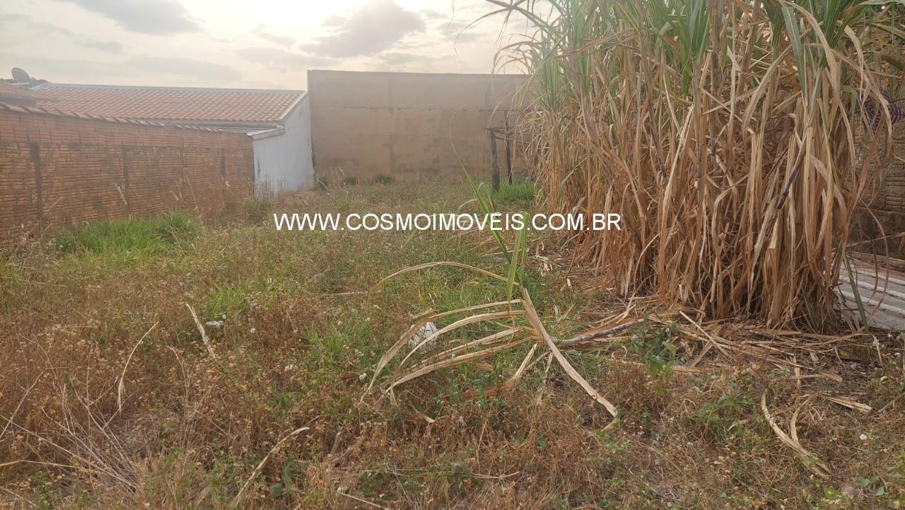 Terreno, 250 m² - Foto 3