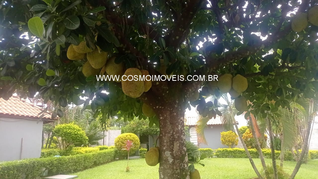 Chácara, 3 quartos - Foto 34