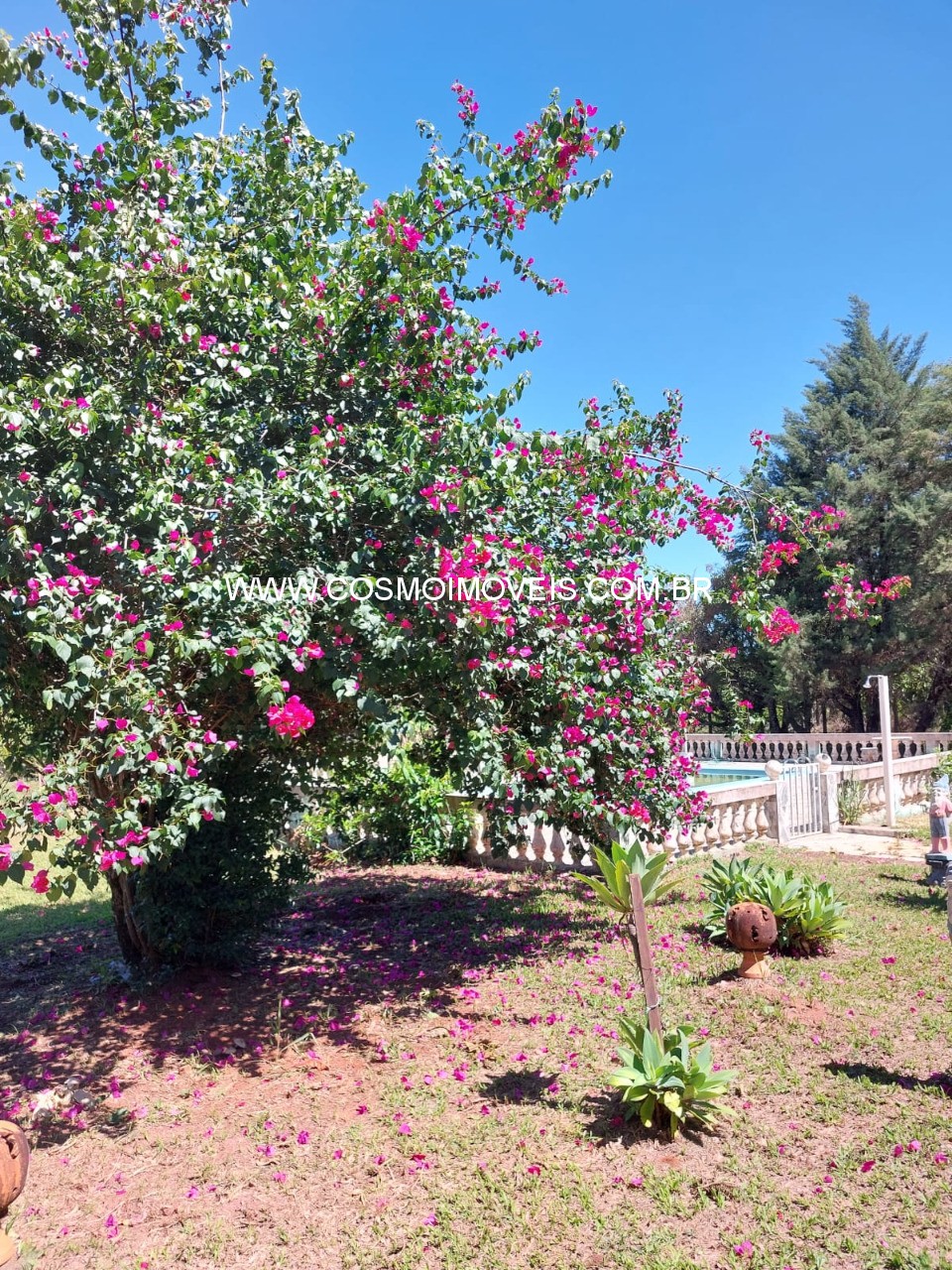 Chácara, 3 quartos - Foto 11