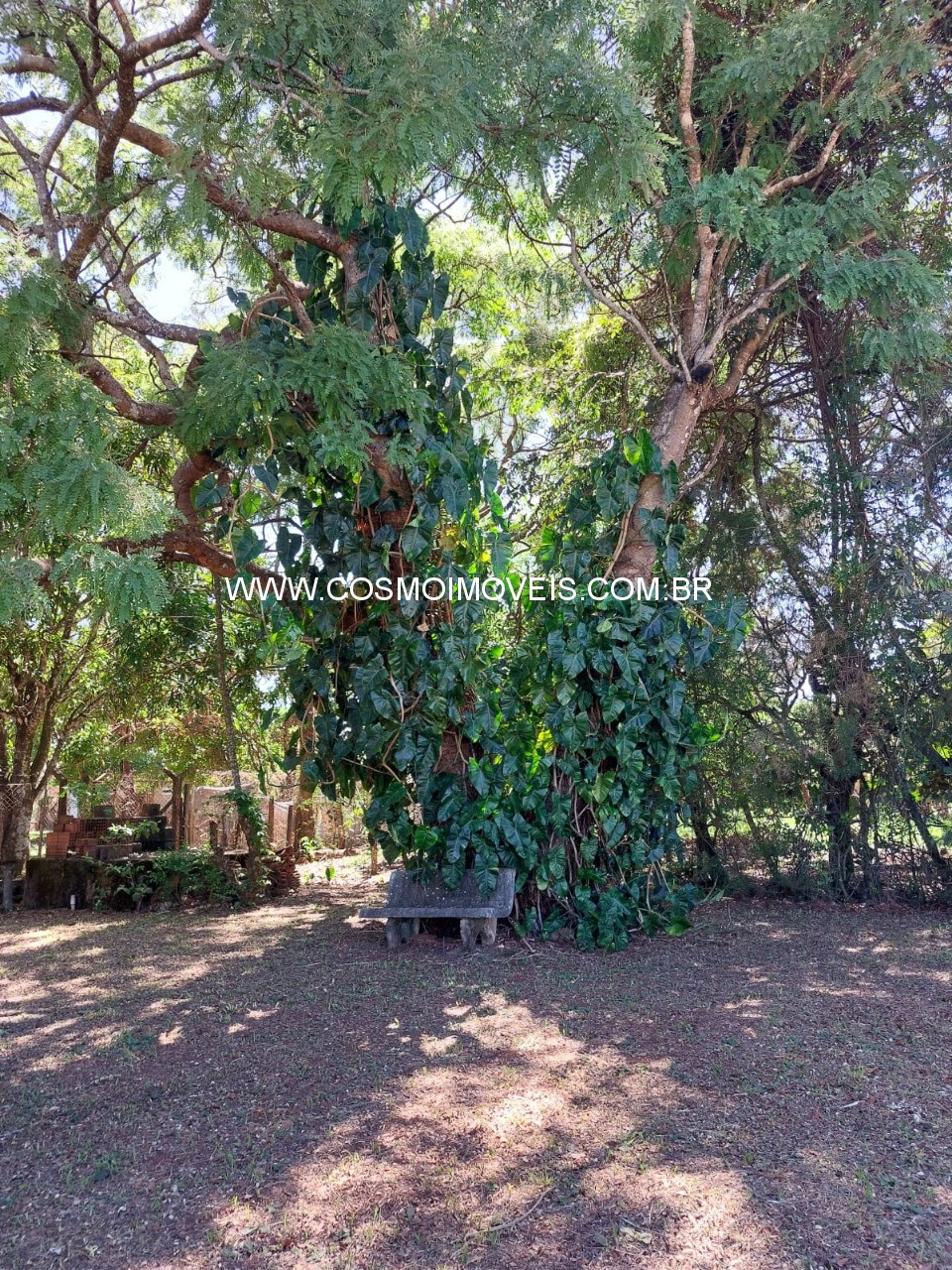 Chácara, 3 quartos - Foto 10