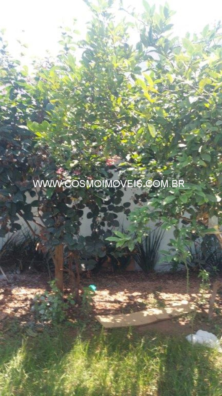 Casa, 3 quartos - Foto 23