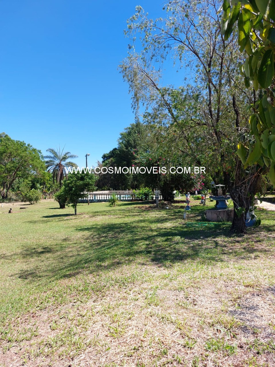 Chácara, 3 quartos - Foto 5