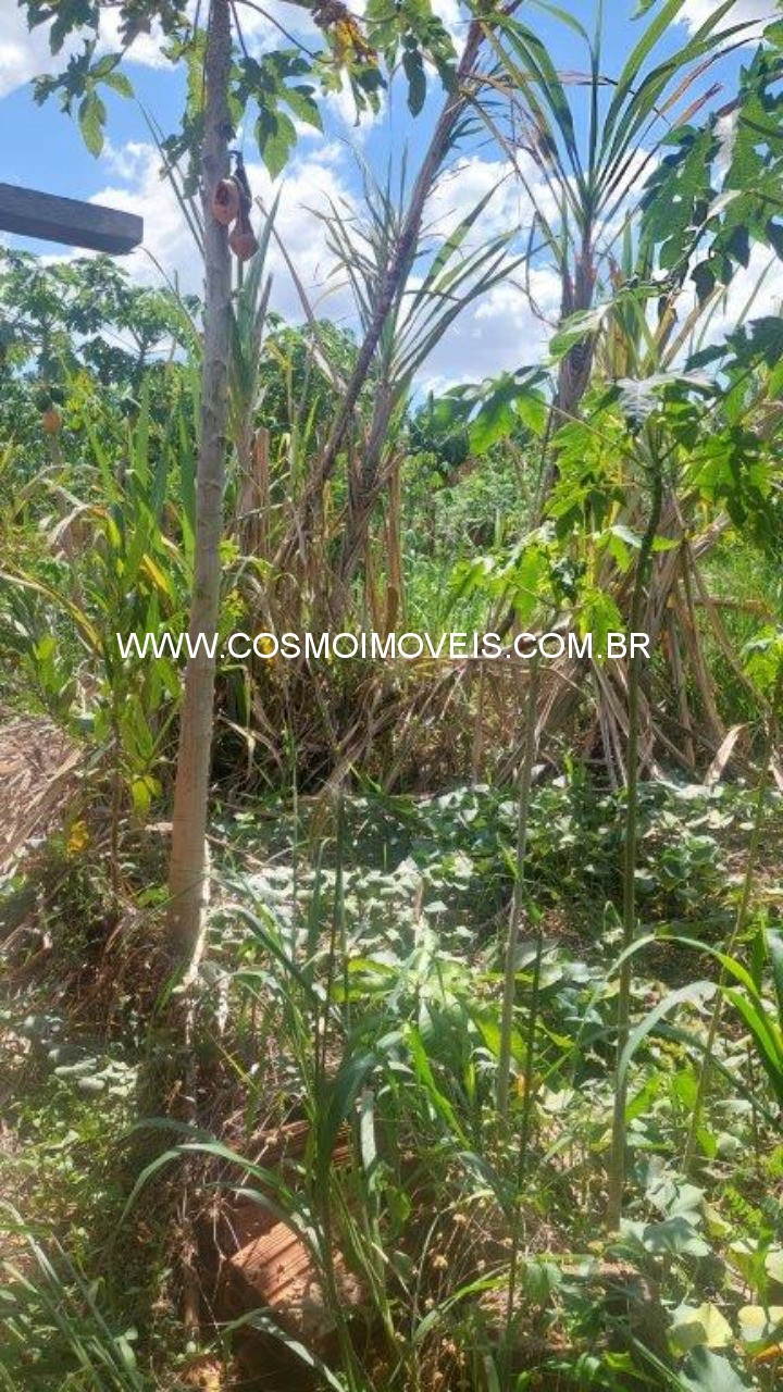 Chácara, 2 quartos - Foto 10