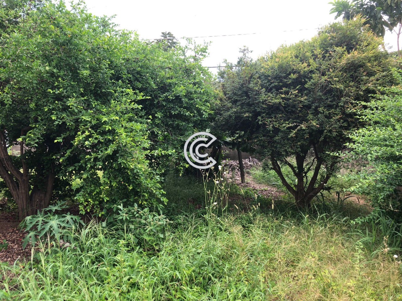 Terreno, 335 m² - Foto 7