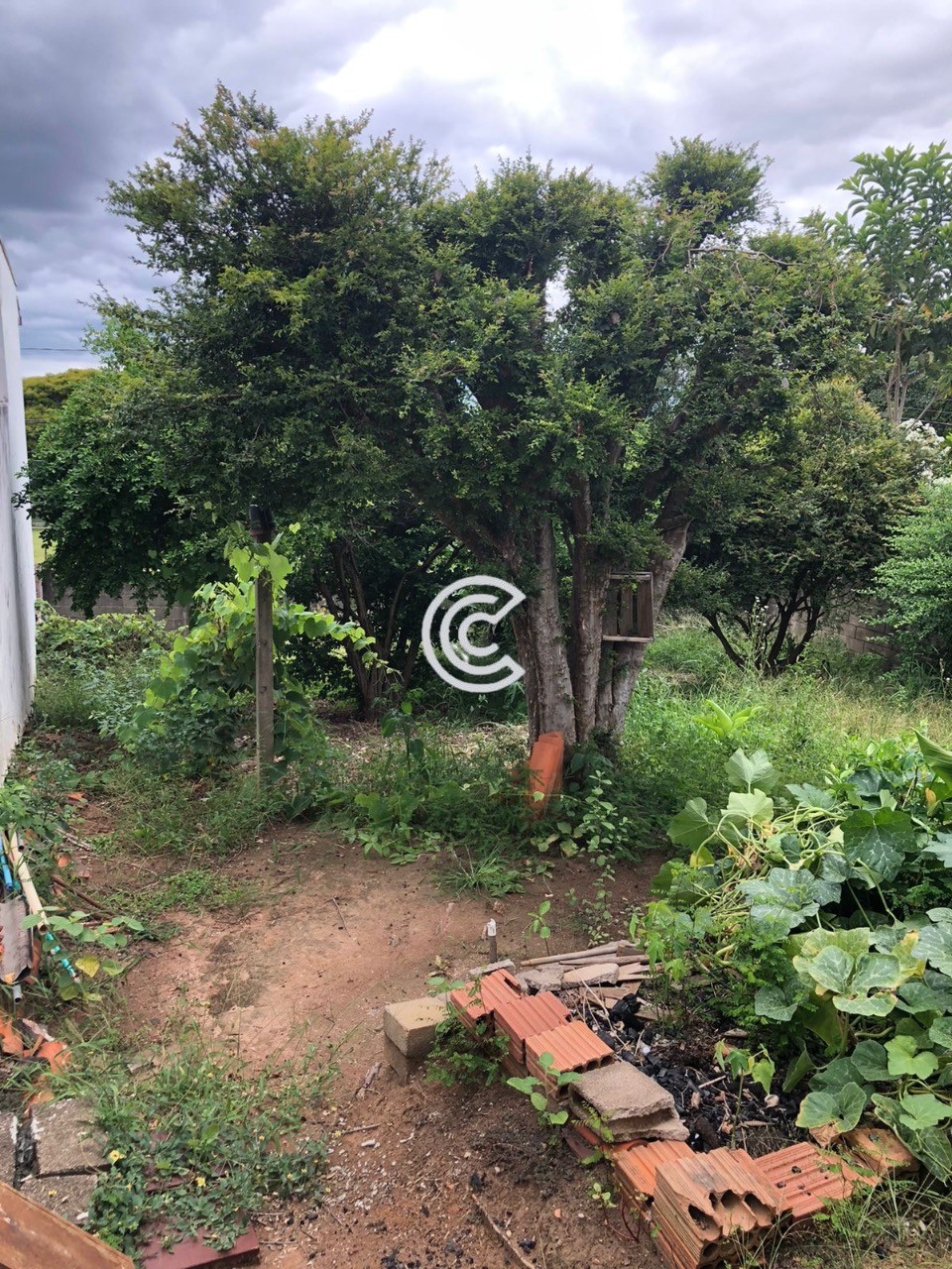 Terreno, 335 m² - Foto 6