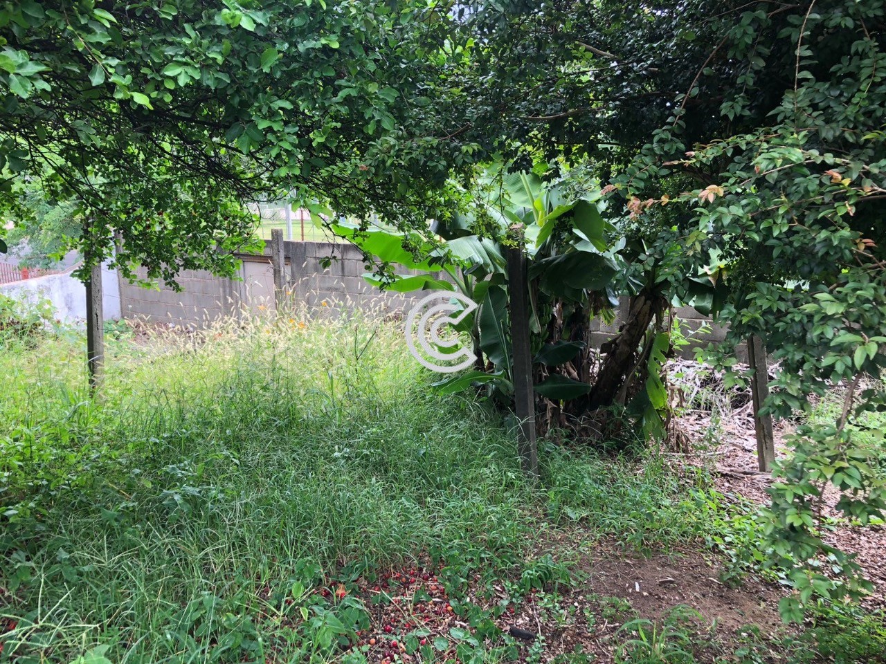 Terreno, 335 m² - Foto 5