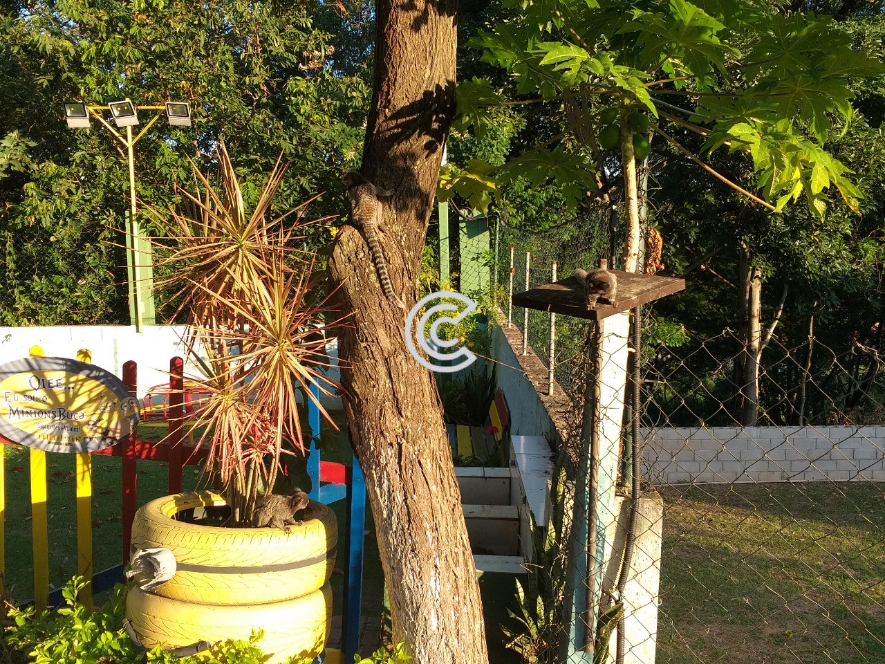 Casa, 3 quartos - Foto 37