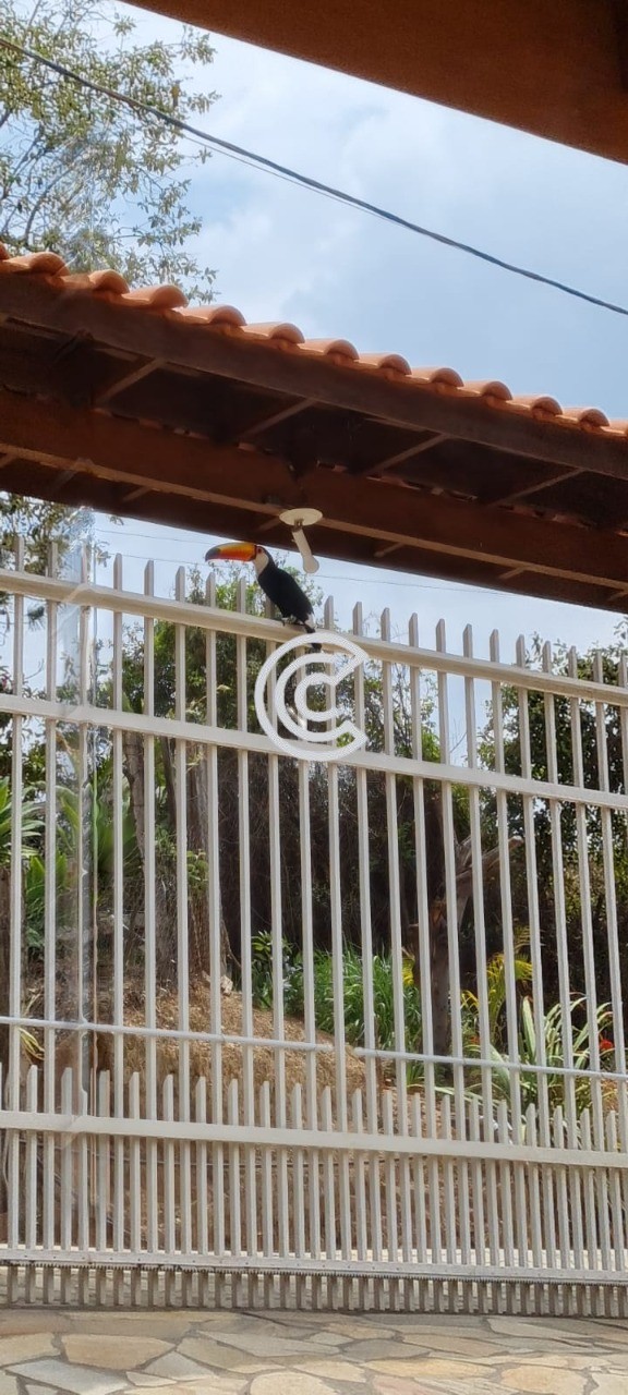 Chácara, 3 quartos - Foto 2