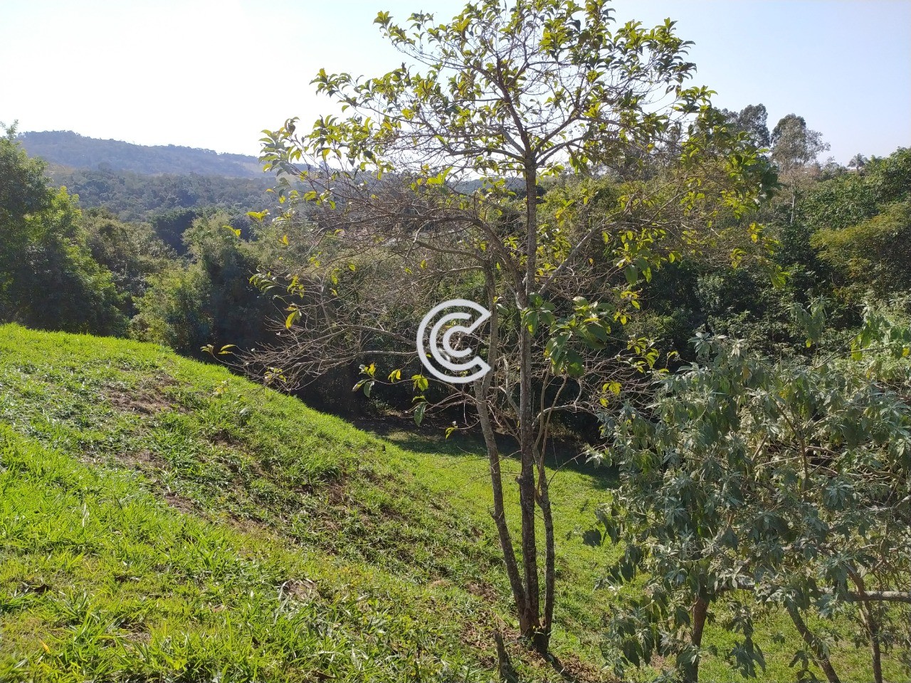 Terreno, 1650 m² - Foto 1