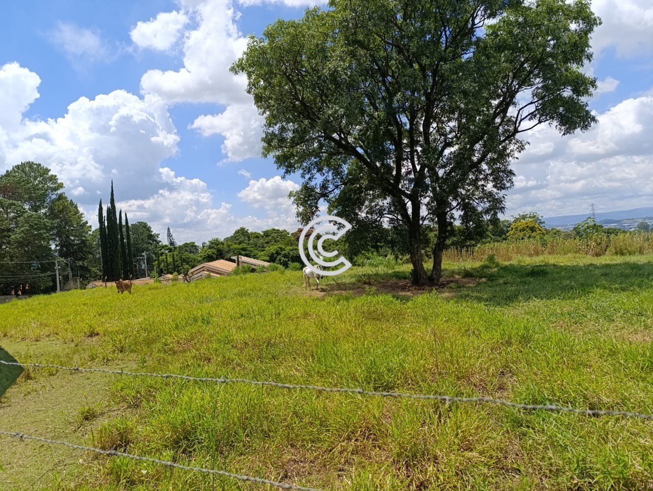 Loteamento e Condomínio, 2 hectares - Foto 4