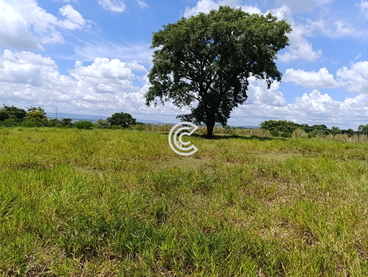 Loteamento e Condomínio, 2 hectares - Foto 6