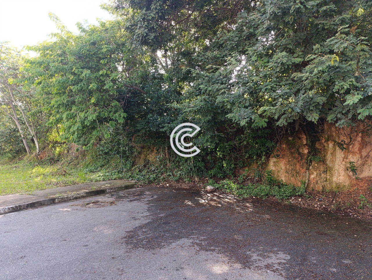 Terreno, 363 m² - Foto 7