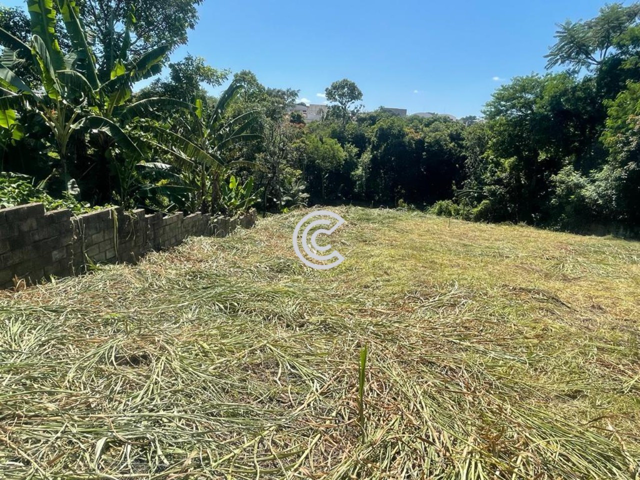 Terreno, 2334 m² - Foto 3