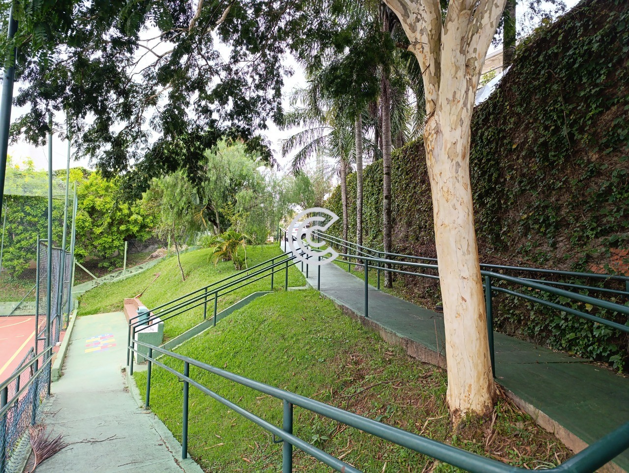 Terreno, 250 m² - Foto 11