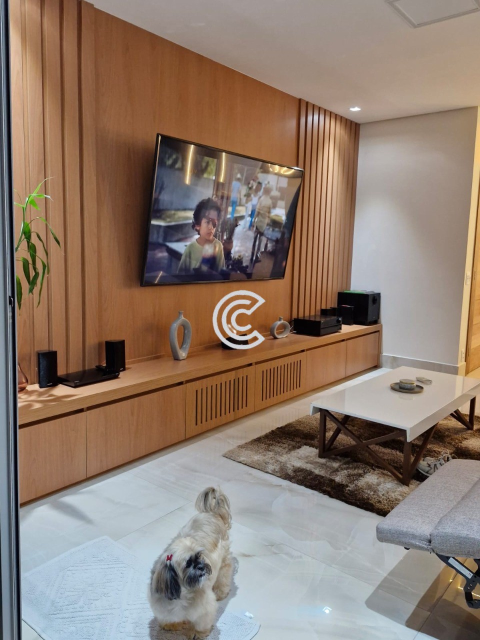 Cobertura, 4 quartos, 382 m² - Foto 44