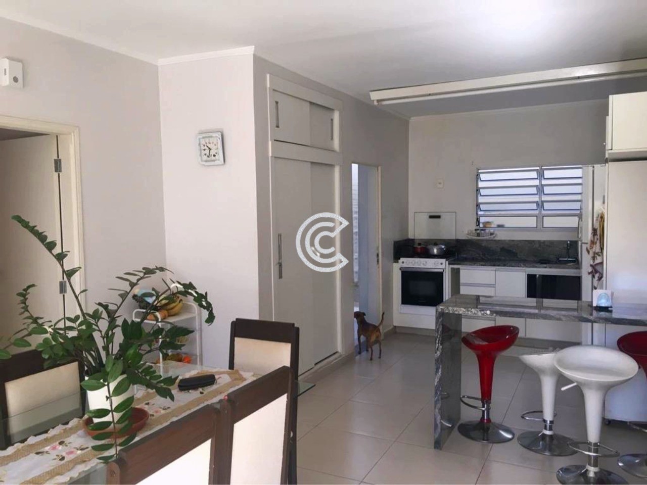 Casa, 4 quartos, 339 m² - Foto 3