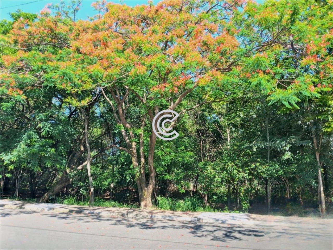 Casa, 3 quartos, 250 m² - Foto 14