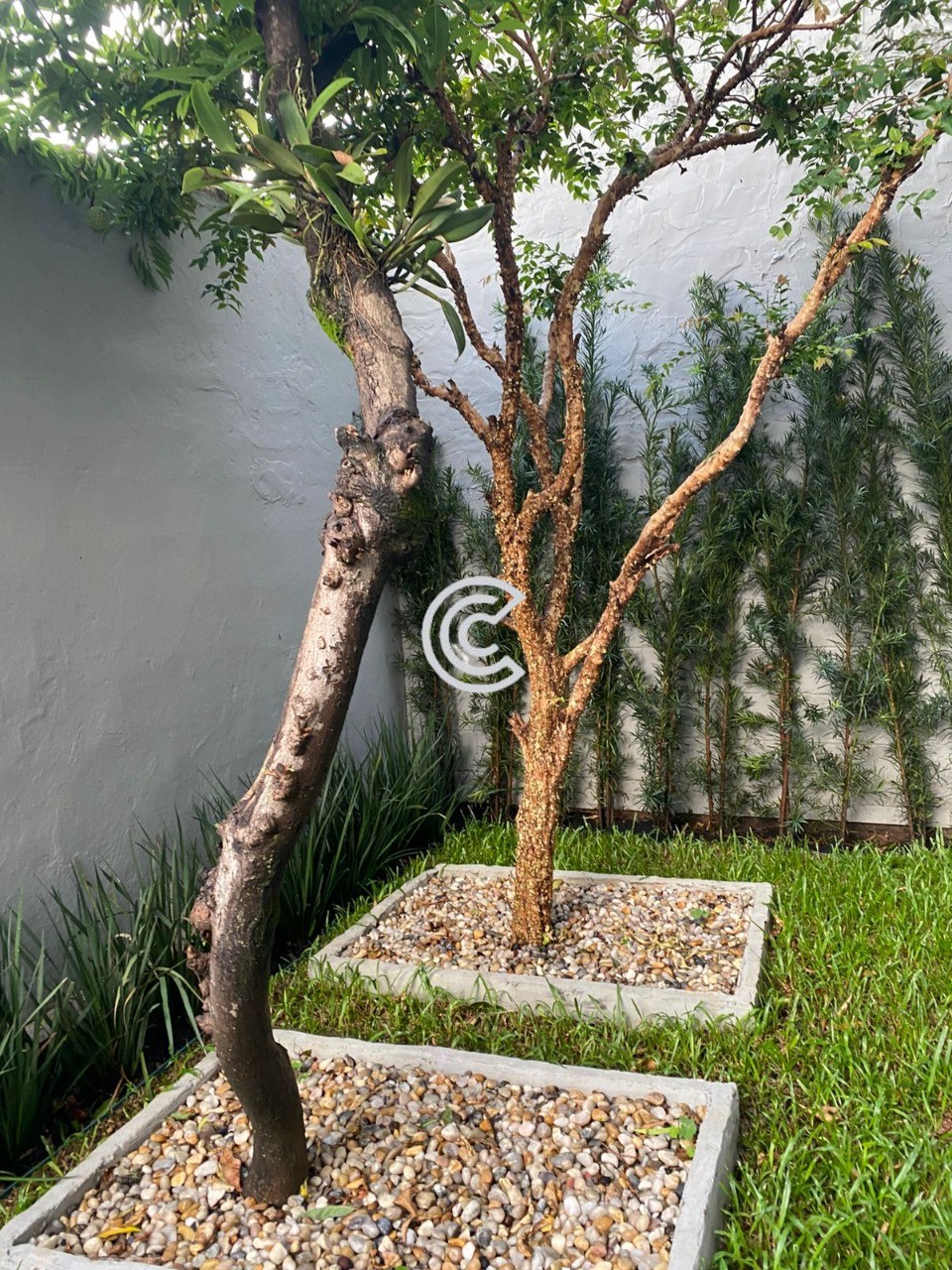 Casa, 3 quartos, 250 m² - Foto 17
