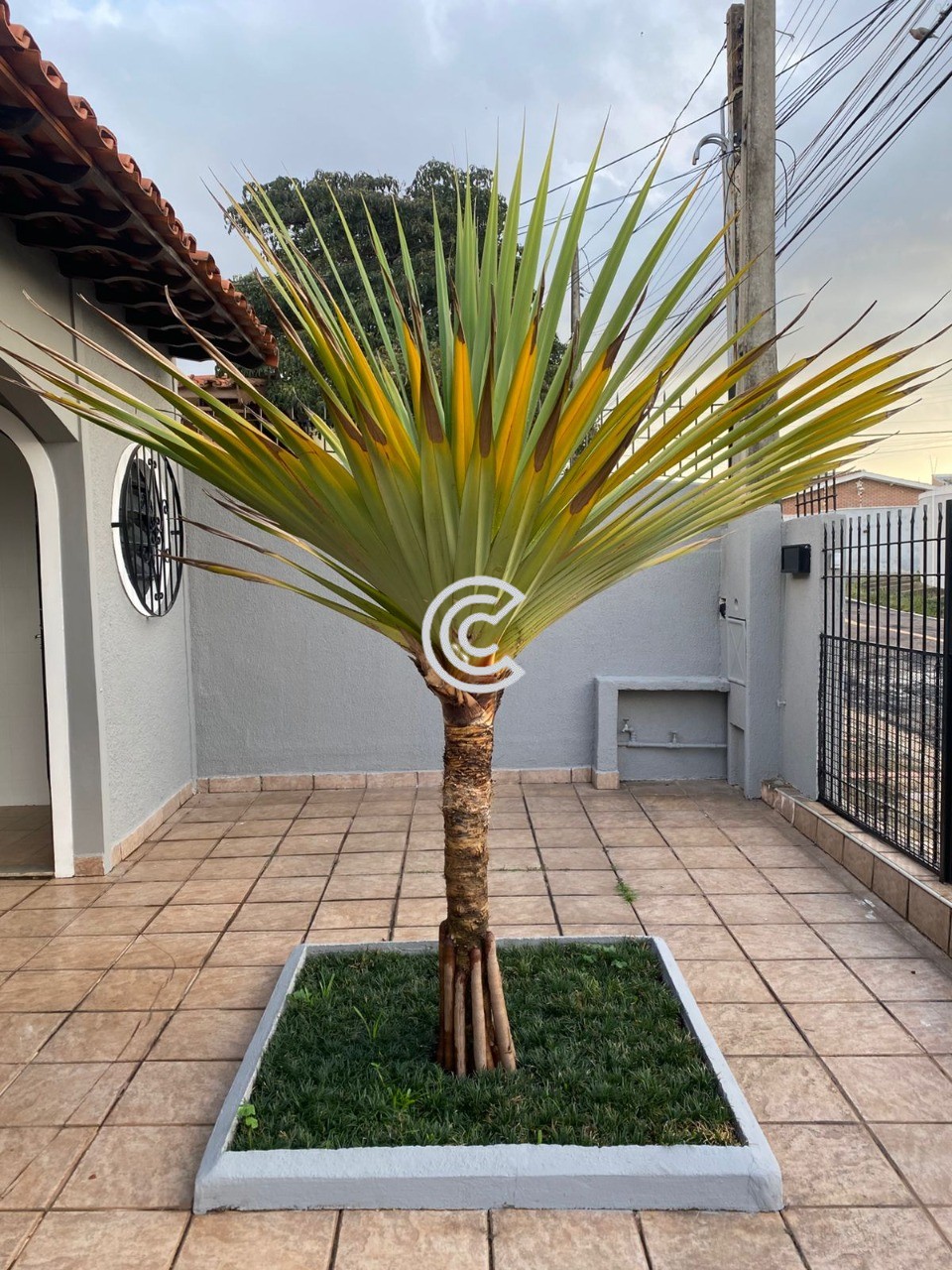 Casa, 3 quartos, 250 m² - Foto 5