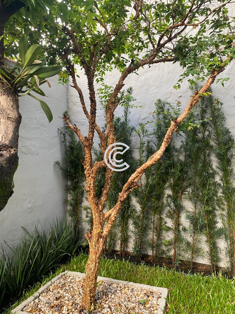 Casa, 3 quartos, 250 m² - Foto 20