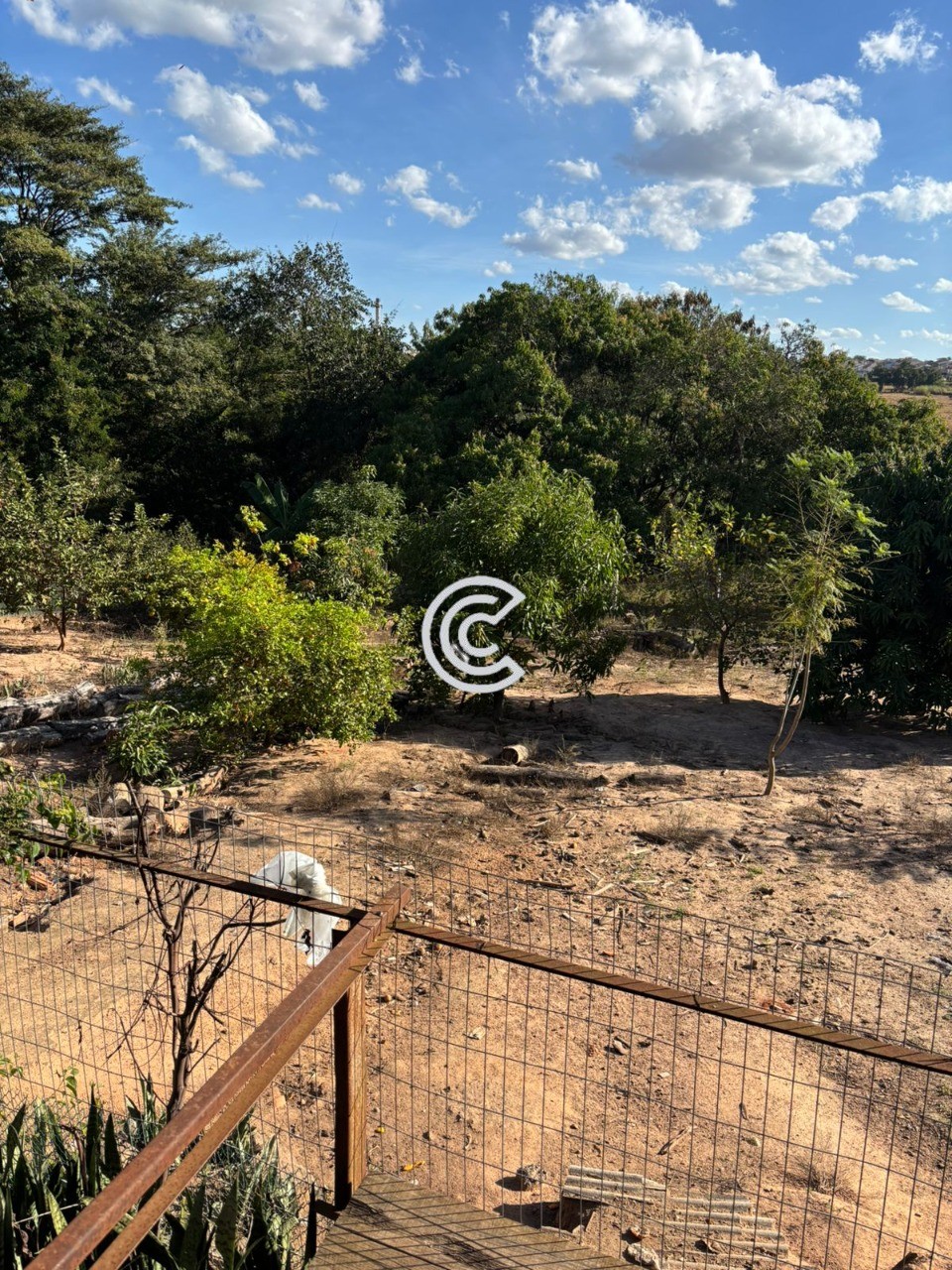Terreno, 12 hectares - Foto 7