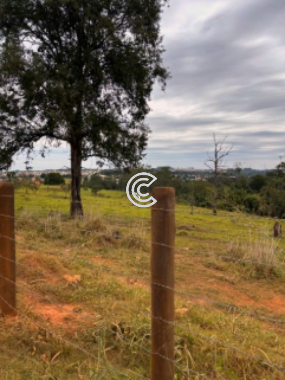 Terreno, 12 hectares - Foto 11