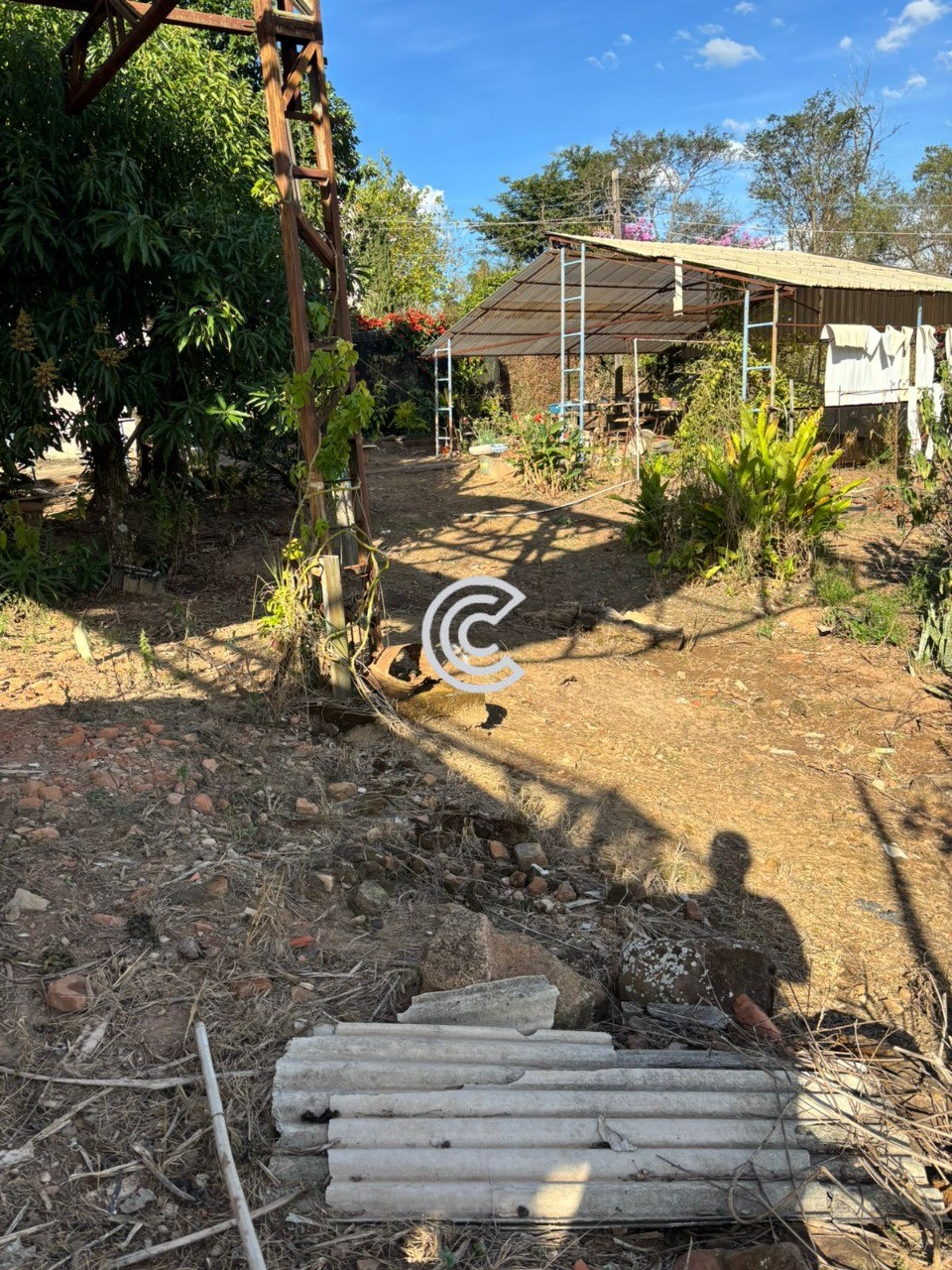 Terreno, 12 hectares - Foto 4