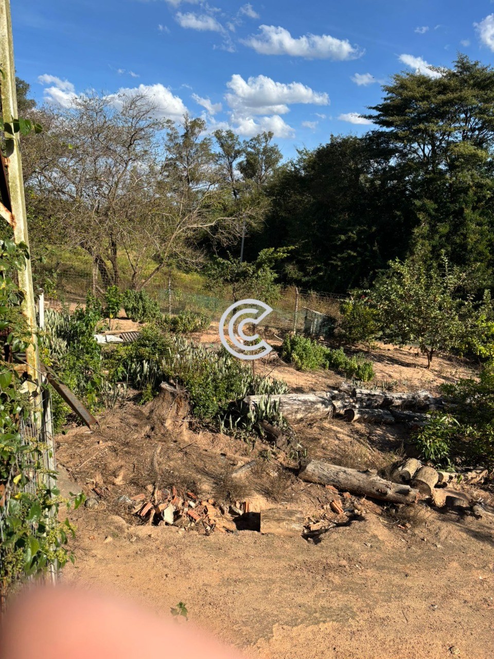 Terreno, 12 hectares - Foto 6