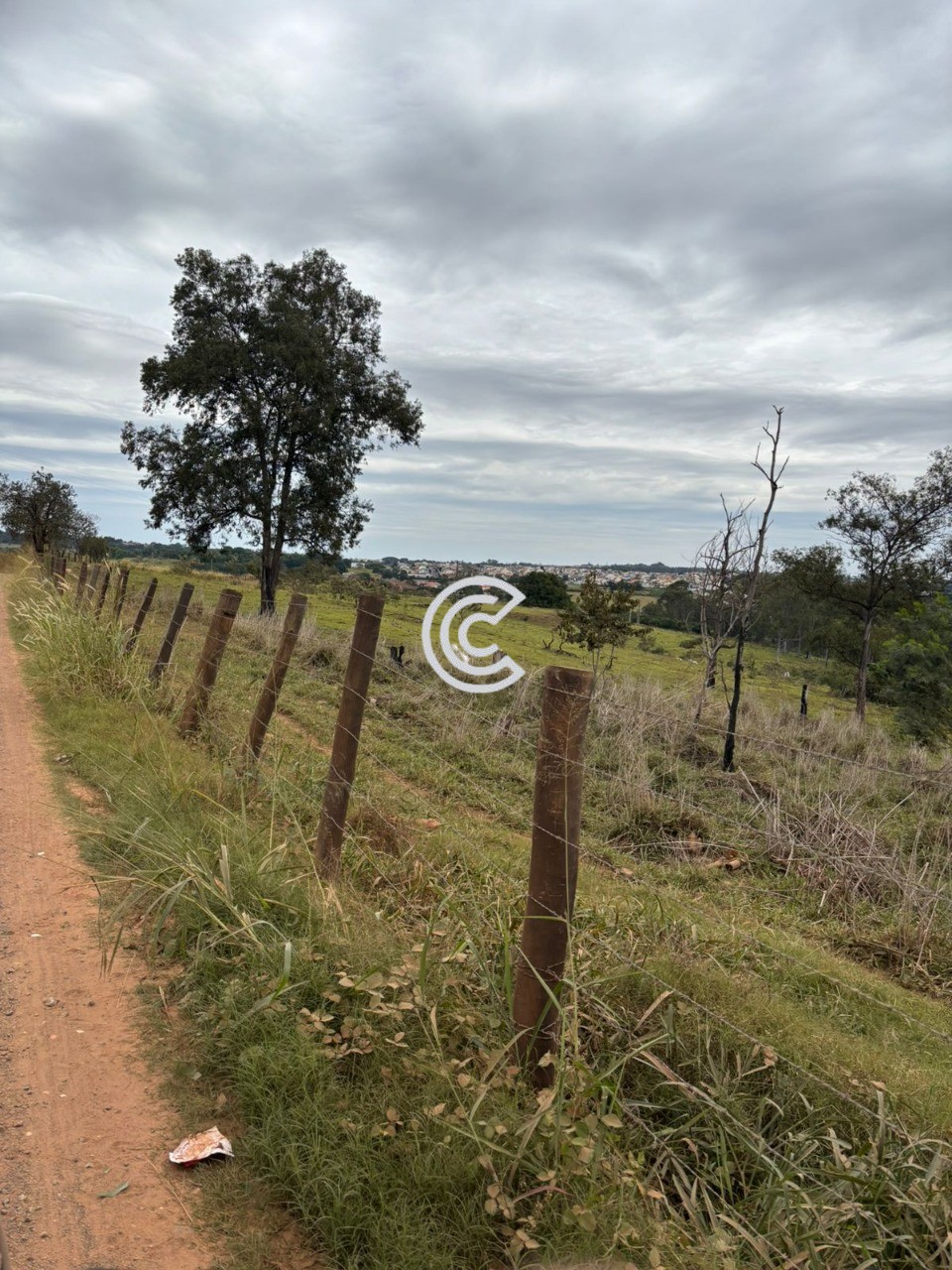 Terreno, 12 hectares - Foto 10