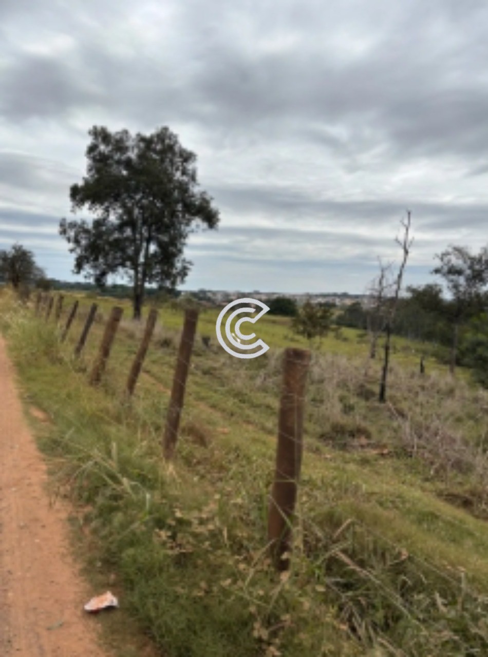 Terreno, 12 hectares - Foto 13