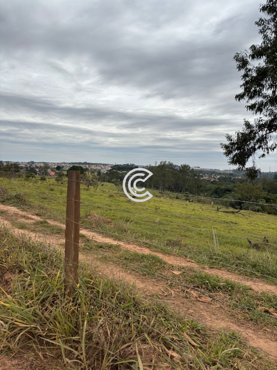 Terreno, 12 hectares - Foto 20
