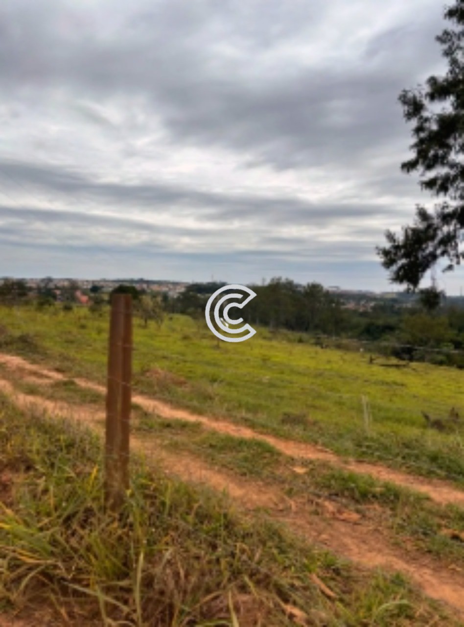 Terreno, 12 hectares - Foto 14