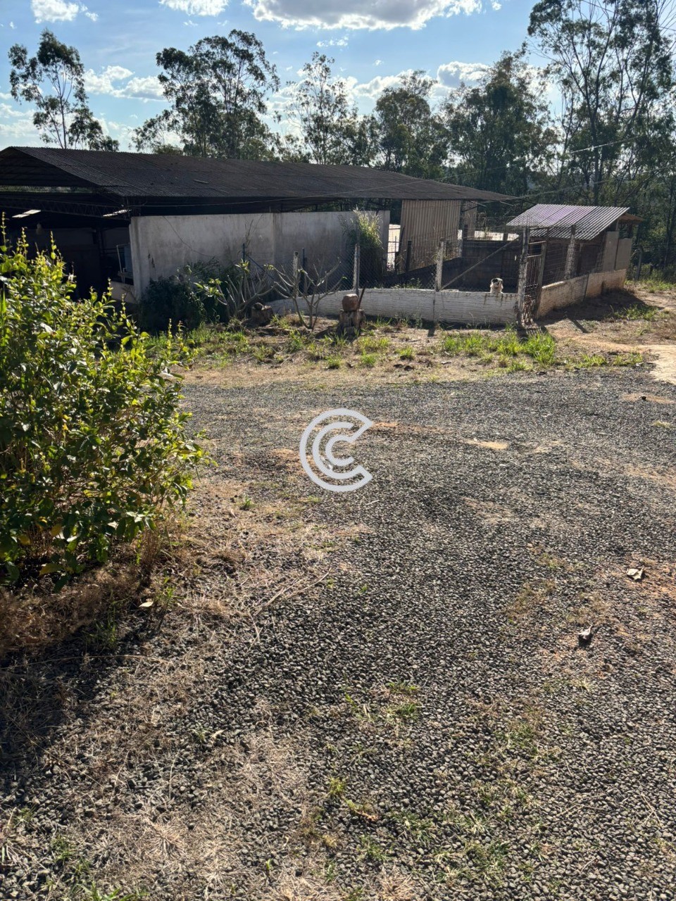 Terreno, 12 hectares - Foto 9