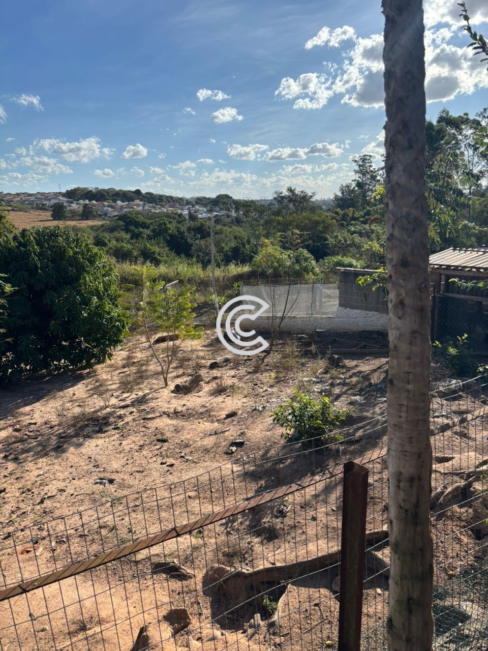 Terreno, 12 hectares - Foto 8
