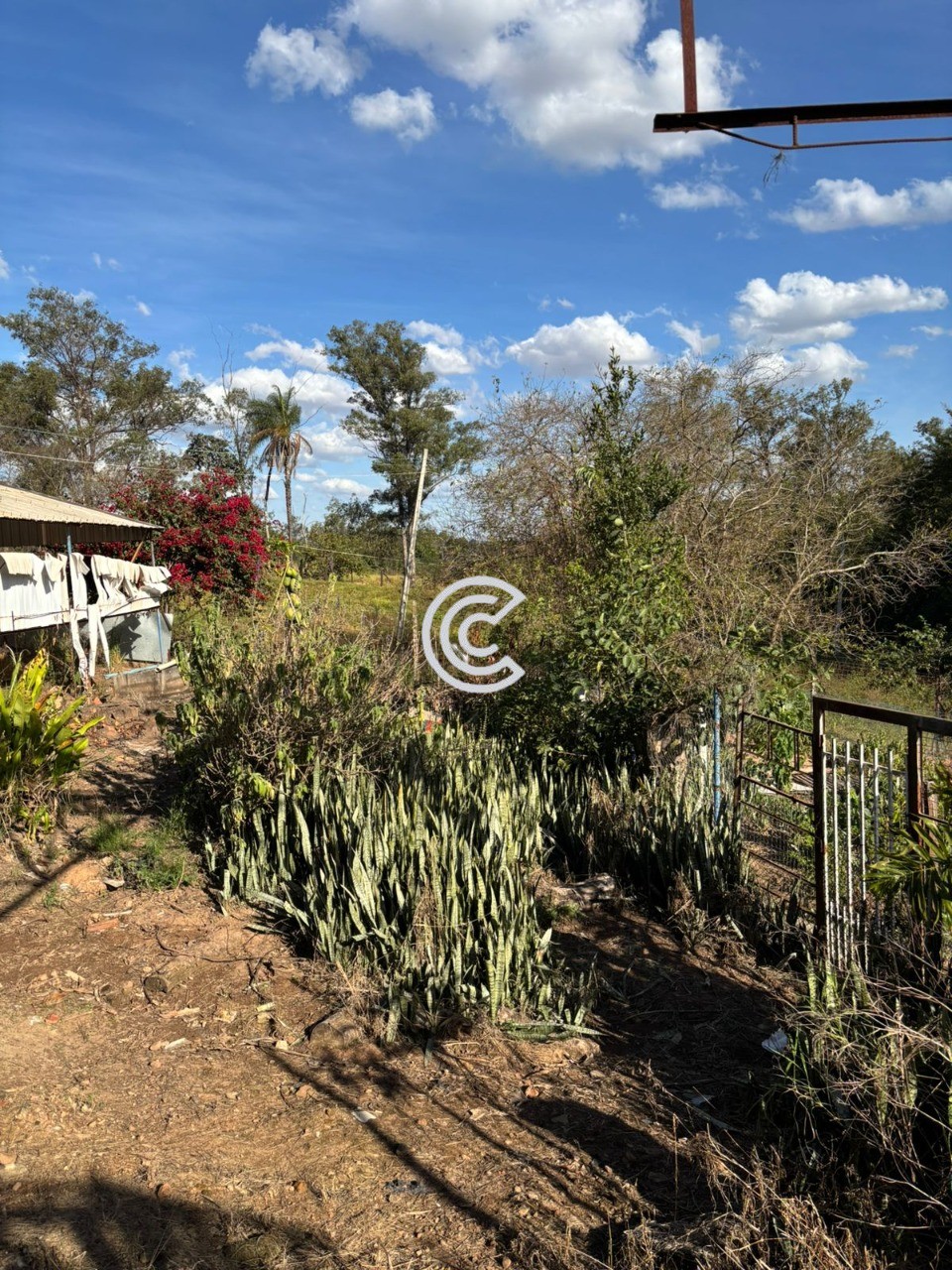 Terreno, 12 hectares - Foto 18