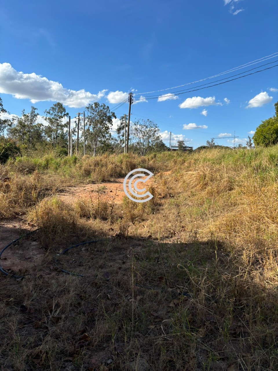 Terreno, 12 hectares - Foto 15