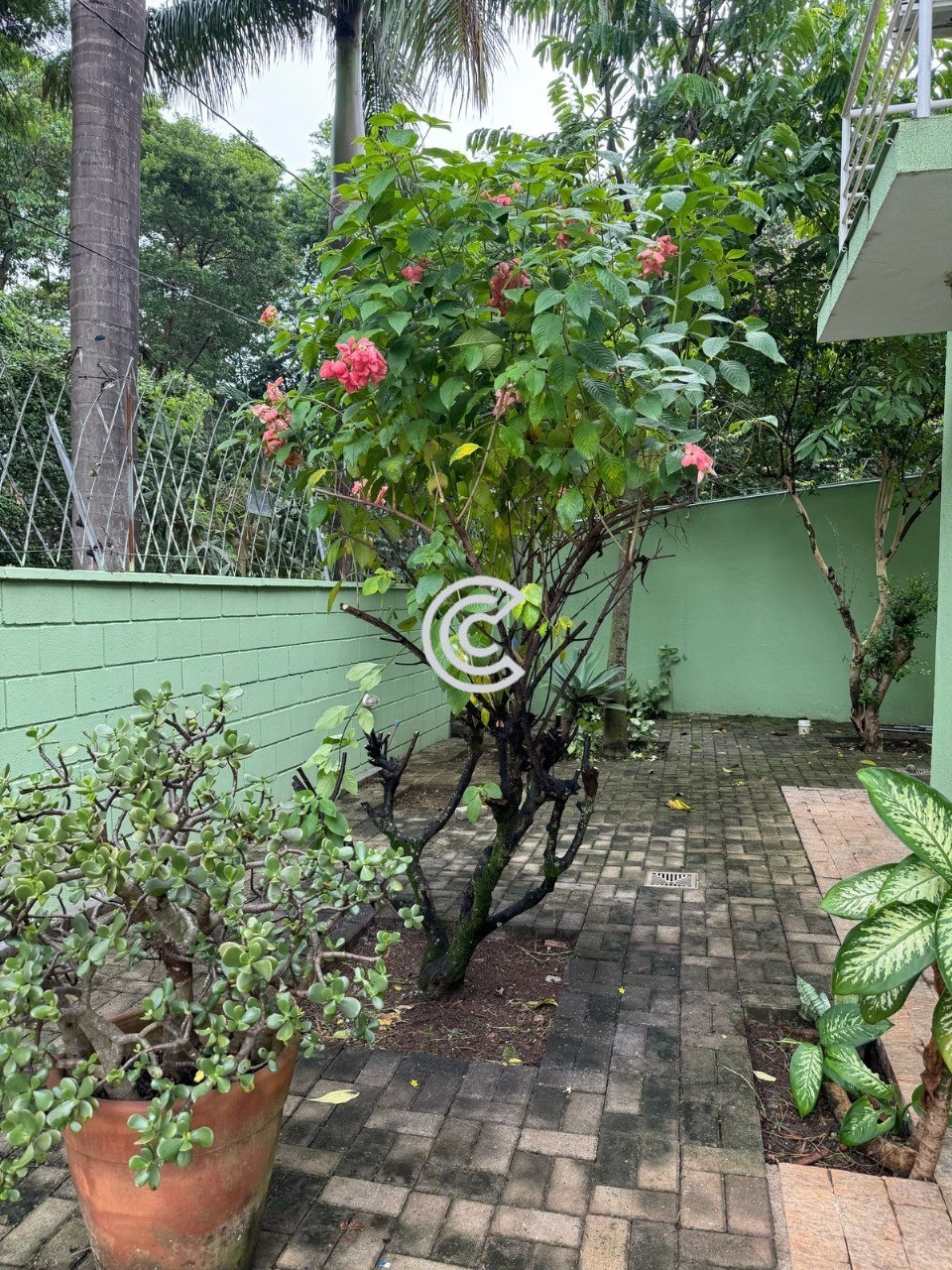 Casa, 3 quartos, 259 m² - Foto 30