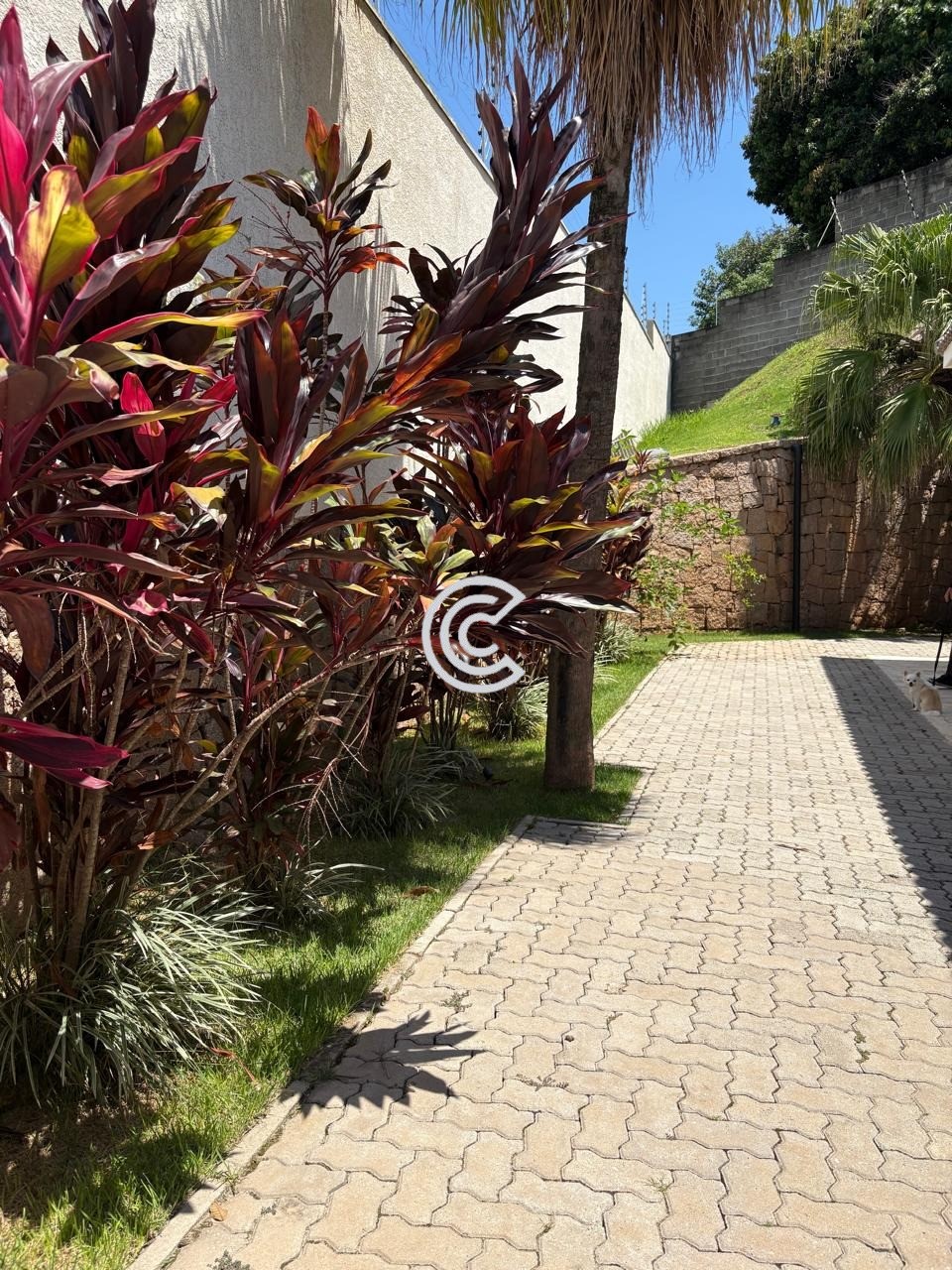 Casa, 3 quartos - Foto 30