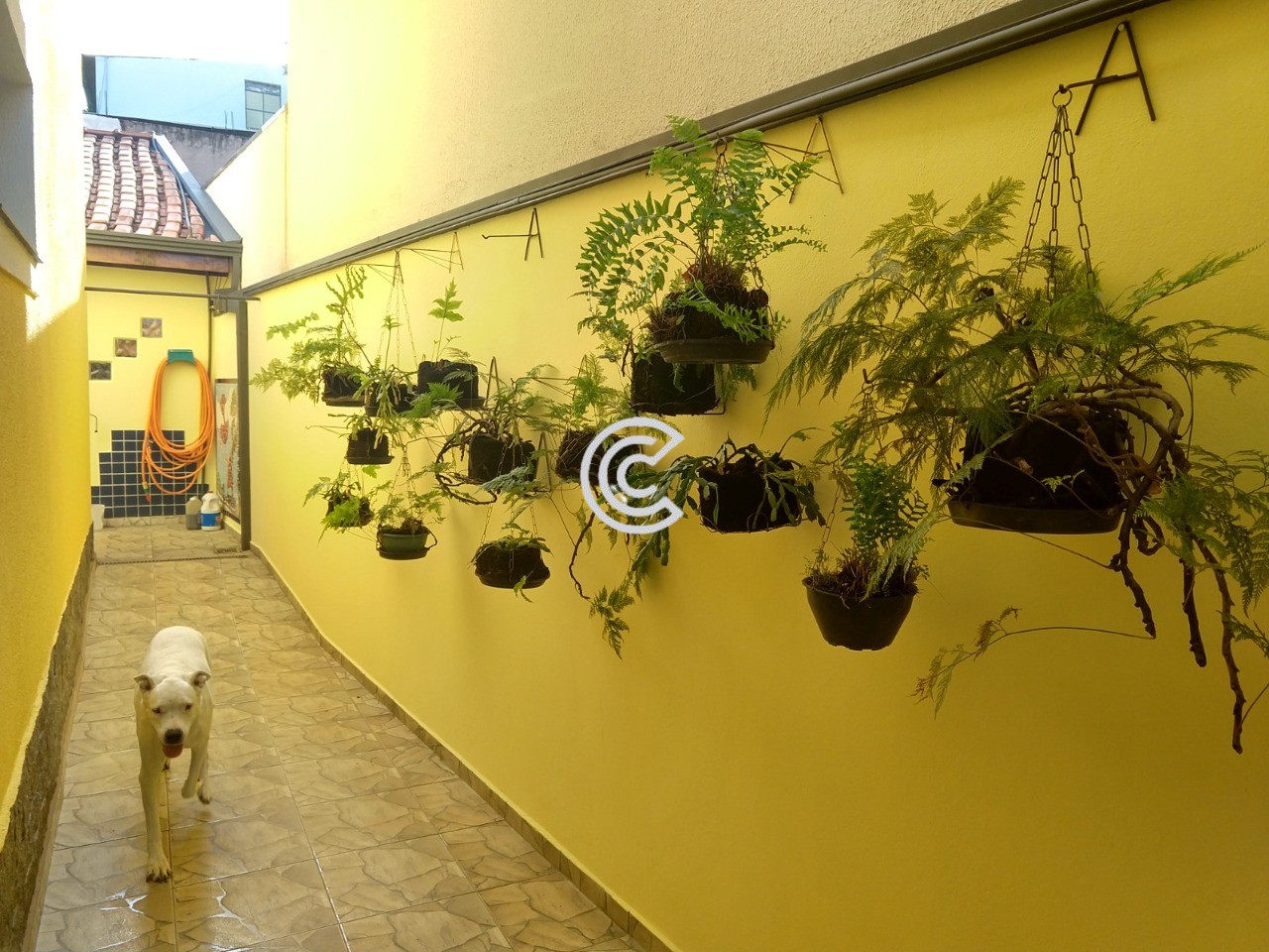 Casa, 3 quartos, 293 m² - Foto 12
