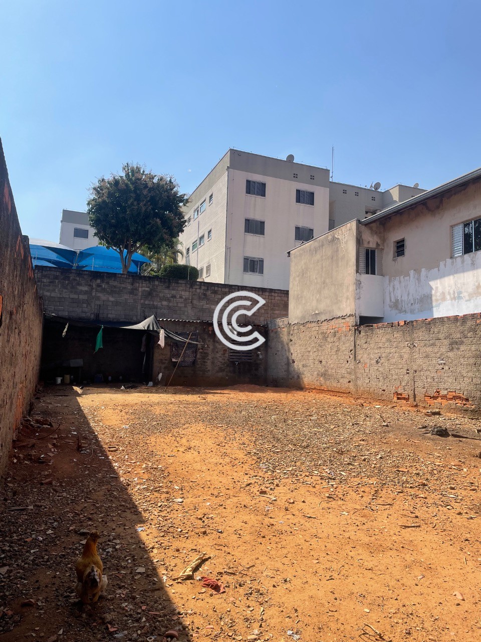 Terreno, 250 m² - Foto 3