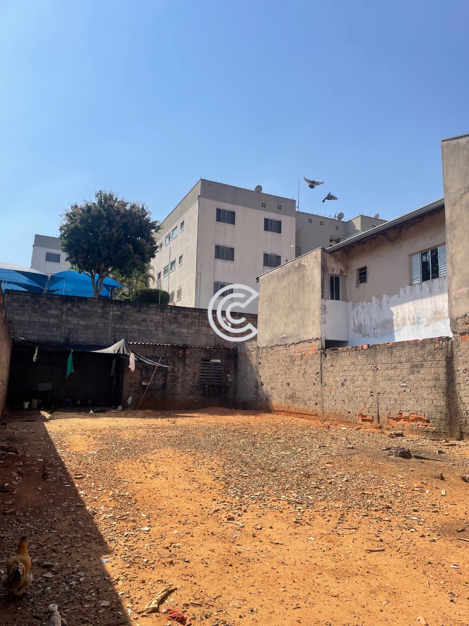 Terreno, 250 m² - Foto 4