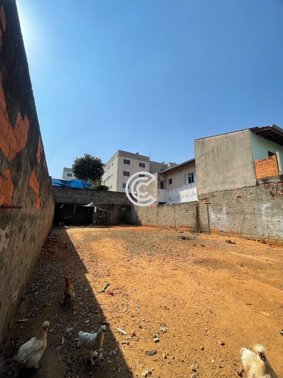 Terreno, 250 m² - Foto 2
