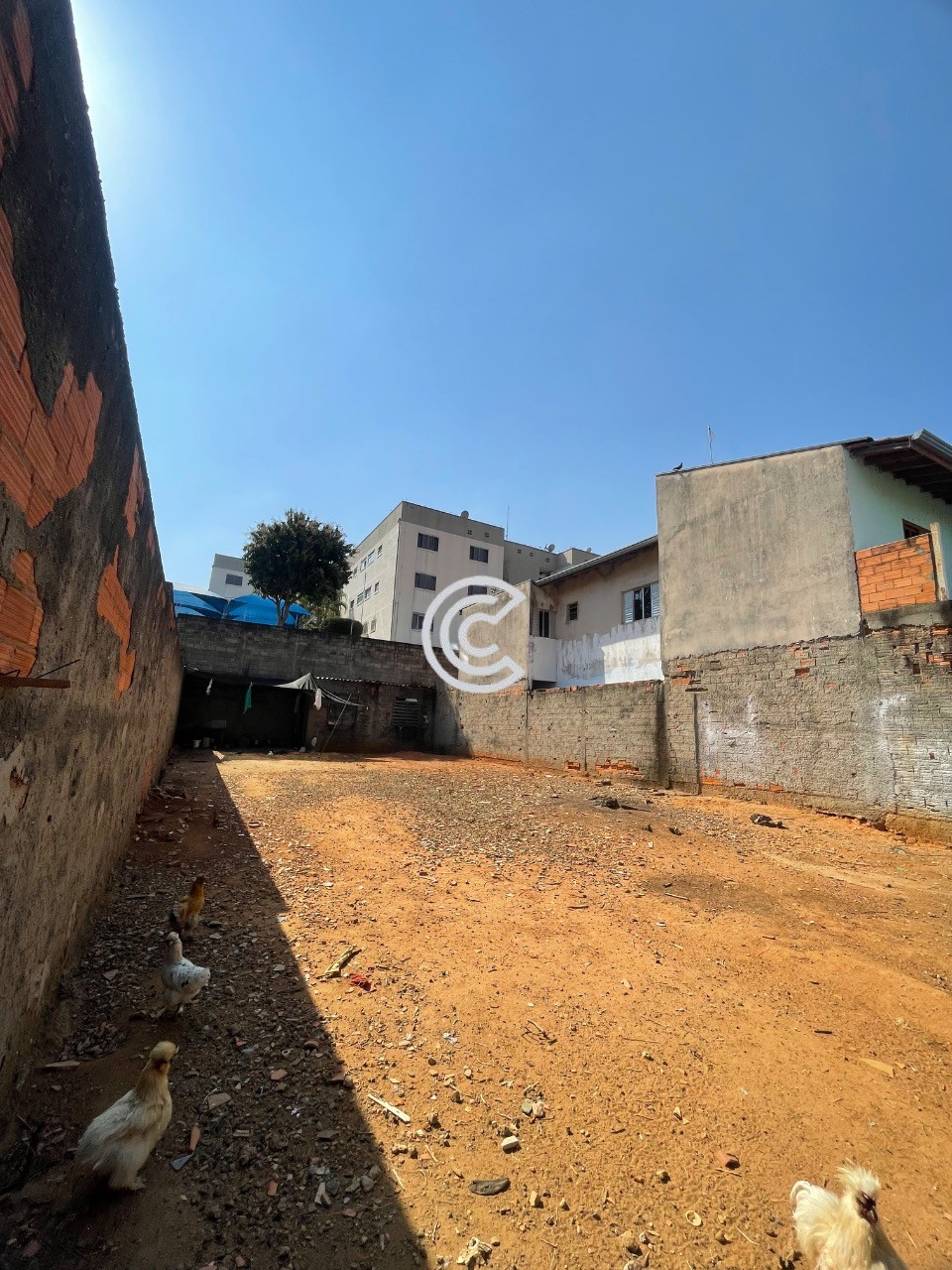 Terreno, 250 m² - Foto 6
