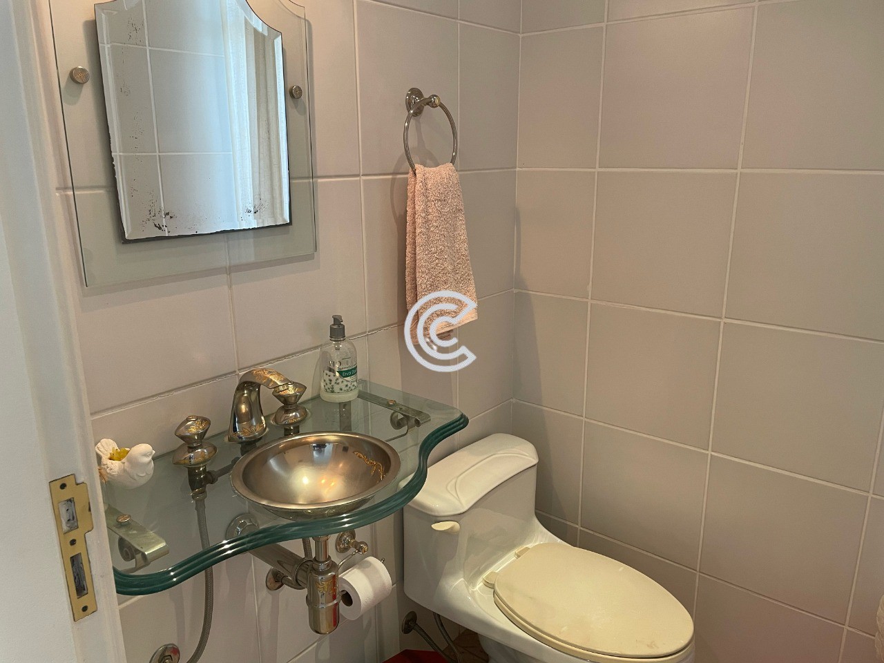 Casa, 4 quartos, 337 m² - Foto 27