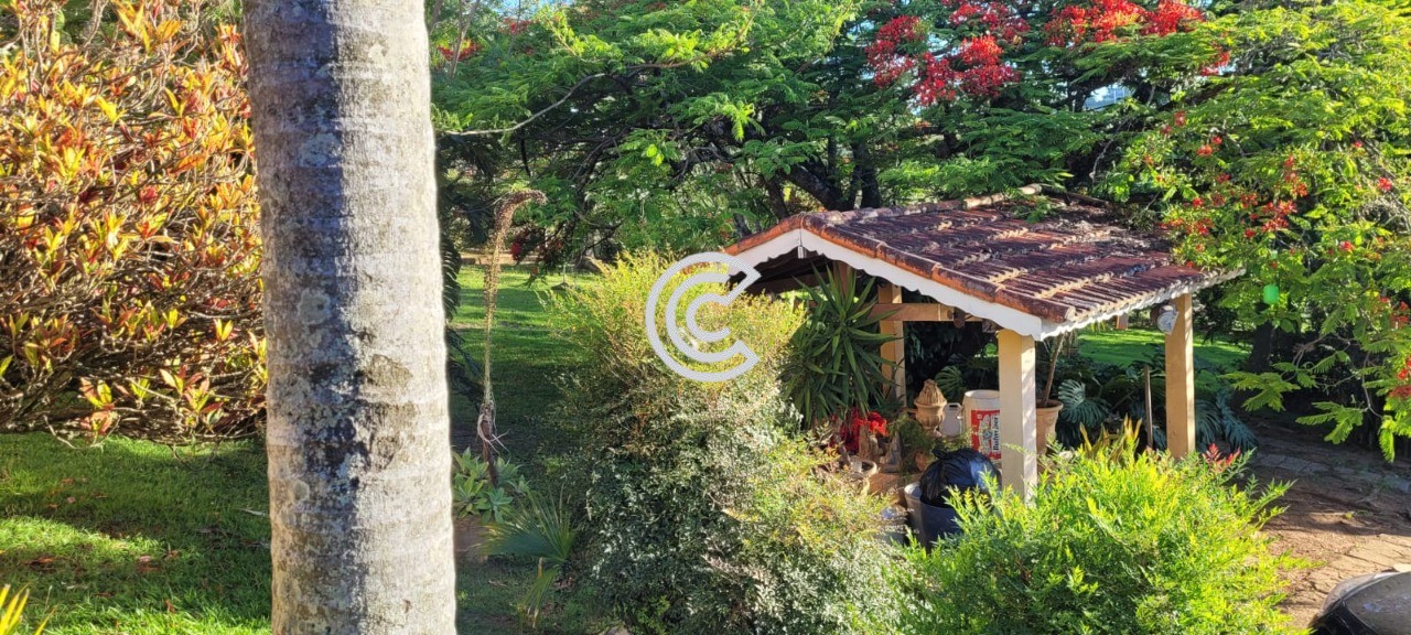 Chácara, 3 quartos - Foto 5
