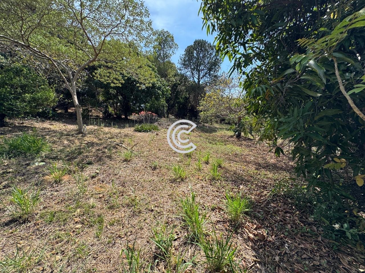Chácara, 6 quartos, 5000 m² - Foto 27