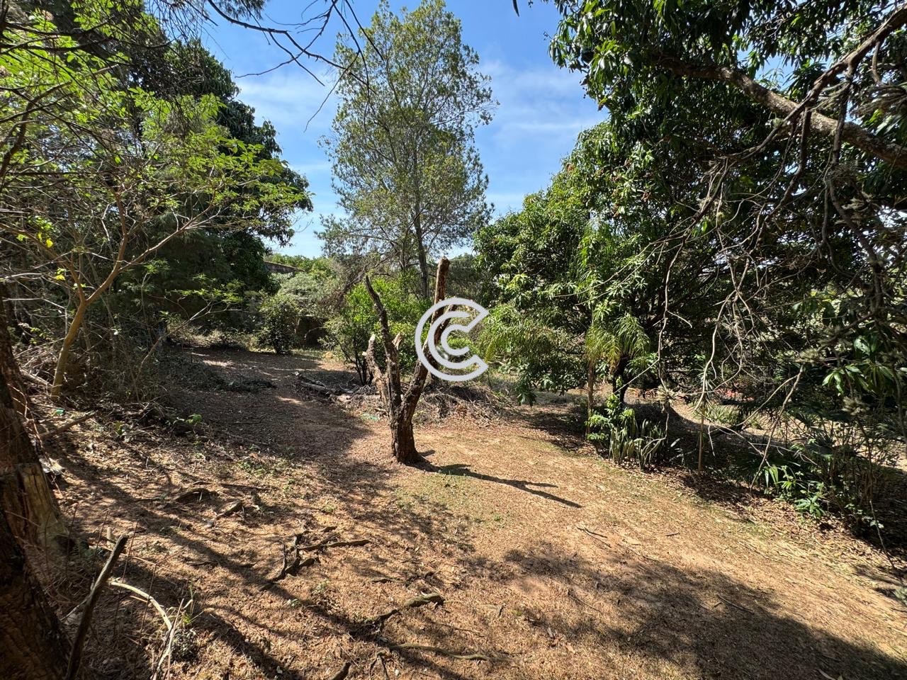 Chácara, 6 quartos, 5000 m² - Foto 32