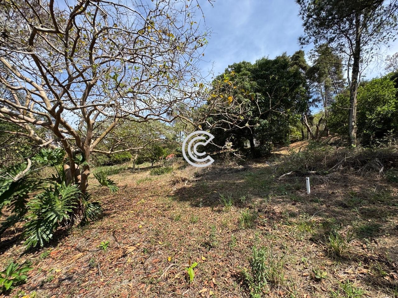Chácara, 6 quartos, 5000 m² - Foto 29