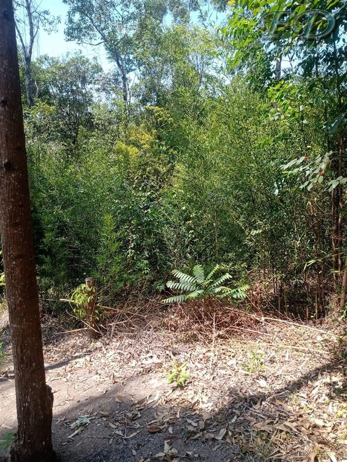 TERRENO A VENDA EM TERRA PRETA