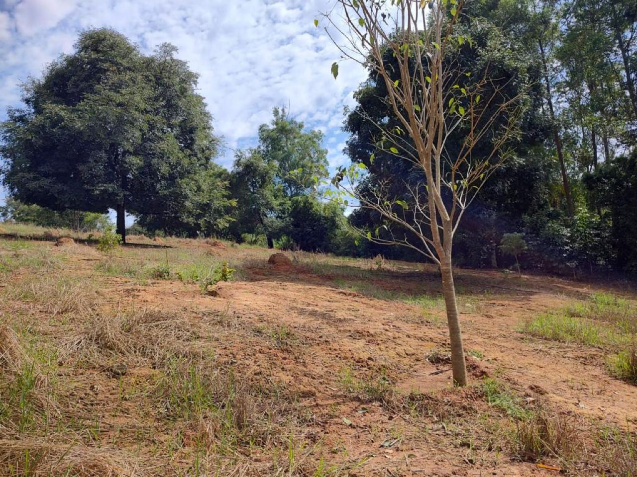 Terreno Residencial em Atibaia - SP, Usina